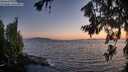 ./images/koeye/fitz-hugh/20260714/fitz-hugh20260714_214502M.jpg