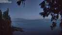 ./images/koeye/fitz-hugh/20260715/fitz-hugh20260715_044501M.jpg