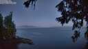 ./images/koeye/fitz-hugh/20260715/fitz-hugh20260715_045002M.jpg