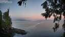 ./images/koeye/fitz-hugh/20260715/fitz-hugh20260715_053501M.jpg