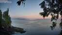 ./images/koeye/fitz-hugh/20260715/fitz-hugh20260715_054501M.jpg