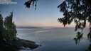./images/koeye/fitz-hugh/20260715/fitz-hugh20260715_055501M.jpg
