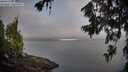 ./images/koeye/fitz-hugh/20260715/fitz-hugh20260715_065001M.jpg
