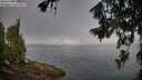 ./images/koeye/fitz-hugh/20260715/fitz-hugh20260715_081001M.jpg