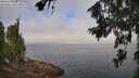 ./images/koeye/fitz-hugh/20260715/fitz-hugh20260715_091001M.jpg