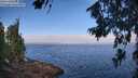 ./images/koeye/fitz-hugh/20260715/fitz-hugh20260715_093501M.jpg