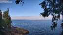 ./images/koeye/fitz-hugh/20260715/fitz-hugh20260715_094002M.jpg