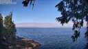 ./images/koeye/fitz-hugh/20260715/fitz-hugh20260715_094501M.jpg