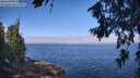 ./images/koeye/fitz-hugh/20260715/fitz-hugh20260715_095001M.jpg