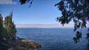 ./images/koeye/fitz-hugh/20260715/fitz-hugh20260715_095502M.jpg