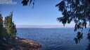 ./images/koeye/fitz-hugh/20260715/fitz-hugh20260715_100502M.jpg