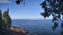./images/koeye/fitz-hugh/20260715/fitz-hugh20260715_102501M.jpg