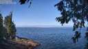 ./images/koeye/fitz-hugh/20260715/fitz-hugh20260715_103001M.jpg