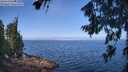 ./images/koeye/fitz-hugh/20260715/fitz-hugh20260715_103501M.jpg