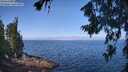 ./images/koeye/fitz-hugh/20260715/fitz-hugh20260715_104001M.jpg