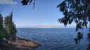 ./images/koeye/fitz-hugh/20260715/fitz-hugh20260715_105501M.jpg