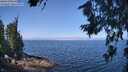 ./images/koeye/fitz-hugh/20260715/fitz-hugh20260715_111001M.jpg