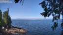 ./images/koeye/fitz-hugh/20260715/fitz-hugh20260715_111501M.jpg