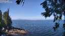 ./images/koeye/fitz-hugh/20260715/fitz-hugh20260715_112001M.jpg