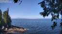 ./images/koeye/fitz-hugh/20260715/fitz-hugh20260715_112501M.jpg