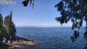 ./images/koeye/fitz-hugh/20260715/fitz-hugh20260715_113001M.jpg