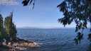 ./images/koeye/fitz-hugh/20260715/fitz-hugh20260715_113501M.jpg