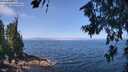 ./images/koeye/fitz-hugh/20260715/fitz-hugh20260715_114002M.jpg