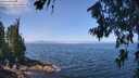 ./images/koeye/fitz-hugh/20260715/fitz-hugh20260715_114501M.jpg