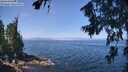 ./images/koeye/fitz-hugh/20260715/fitz-hugh20260715_115001M.jpg