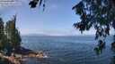 ./images/koeye/fitz-hugh/20260715/fitz-hugh20260715_120001M.jpg