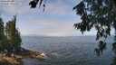 ./images/koeye/fitz-hugh/20260715/fitz-hugh20260715_121001M.jpg