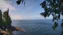 ./images/koeye/fitz-hugh/20260715/fitz-hugh20260715_124001M.jpg