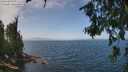 ./images/koeye/fitz-hugh/20260715/fitz-hugh20260715_131002M.jpg