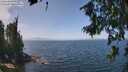./images/koeye/fitz-hugh/20260715/fitz-hugh20260715_131501M.jpg