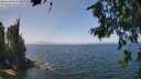 ./images/koeye/fitz-hugh/20260715/fitz-hugh20260715_132001M.jpg