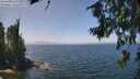 ./images/koeye/fitz-hugh/20260715/fitz-hugh20260715_132501M.jpg