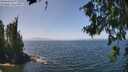 ./images/koeye/fitz-hugh/20260715/fitz-hugh20260715_133002M.jpg