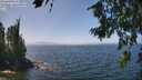 ./images/koeye/fitz-hugh/20260715/fitz-hugh20260715_133501M.jpg