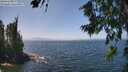 ./images/koeye/fitz-hugh/20260715/fitz-hugh20260715_134001M.jpg
