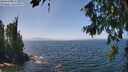 ./images/koeye/fitz-hugh/20260715/fitz-hugh20260715_134501M.jpg