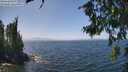 ./images/koeye/fitz-hugh/20260715/fitz-hugh20260715_135002M.jpg