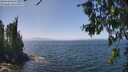 ./images/koeye/fitz-hugh/20260715/fitz-hugh20260715_135501M.jpg