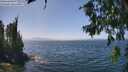 ./images/koeye/fitz-hugh/20260715/fitz-hugh20260715_140002M.jpg