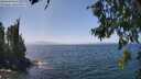 ./images/koeye/fitz-hugh/20260715/fitz-hugh20260715_140501M.jpg