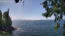 ./images/koeye/fitz-hugh/20260715/fitz-hugh20260715_141001M.jpg
