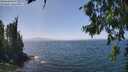 ./images/koeye/fitz-hugh/20260715/fitz-hugh20260715_141501M.jpg