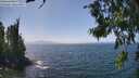 ./images/koeye/fitz-hugh/20260715/fitz-hugh20260715_142002M.jpg