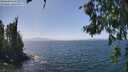 ./images/koeye/fitz-hugh/20260715/fitz-hugh20260715_142501M.jpg