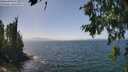 ./images/koeye/fitz-hugh/20260715/fitz-hugh20260715_143001M.jpg