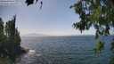./images/koeye/fitz-hugh/20260715/fitz-hugh20260715_145001M.jpg